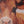 Laden Sie das Bild in den Galerie-Viewer, Detailbild von einem Kälbchen mit Acrylfarbe gemalt.