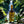 Laden Sie das Bild in den Galerie-Viewer, Eine Flasche Hampden Estate Pure Single Jamaican Rum steht vor einem Wasserfall in der Karibik