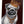 Laden Sie das Bild in den Galerie-Viewer, Der Mops mit goldener glitzender Krone und Collier schaut treu vom Acrylgemälde herunter.