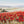 Laden Sie das Bild in den Galerie-Viewer, Ein rotes Klatschmohnfeld zieht sich durch die wunderschöne Landschaft. Dieses Blumenbild ist einfach wundervoll.