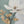 Laden Sie das Bild in den Galerie-Viewer, Details einer Magnolienblüte mit goldenen Blättern. Dieses Acrylgemälde ist ideal für das Schlafzimmer.