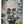 Laden Sie das Bild in den Galerie-Viewer, Das bunte Acrylbild zeigt einen bekannten Professor. Das Acrylbild im Graffitistyle steht auf einer Staffelei.