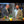 Laden und Abspielen von Videos im Galerie-Viewer, Video über den London Dry Gin No. 3. In diesem Gin sind drei Früchte und drei Gewürze enthalten. Video mit Chris henkel von Kirsch Import und the BRIDEMAKER