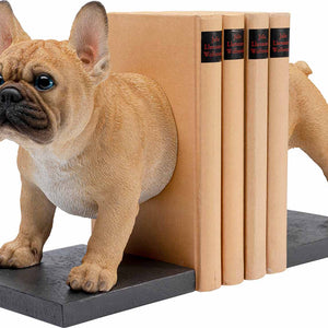 Die französische braune  Bulldogge ist eine wunderschöne Buchstütze. Die Detailgetreue kräftige französische Bulldogge ist ein wirkliches Schmuckstück in ihrem Bücherregal.
