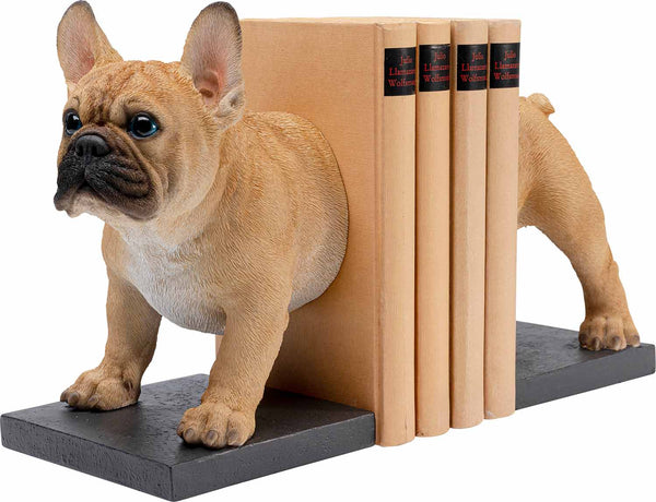 Die französische braune  Bulldogge ist eine wunderschöne Buchstütze. Die Detailgetreue kräftige französische Bulldogge ist ein wirkliches Schmuckstück in ihrem Bücherregal.