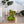 Laden Sie das Bild in den Galerie-Viewer, Bär Toto von Pomme Pidou in der Farbe Grün sitzt auf eine Seideboard
