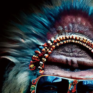 Detailbild von einem farbigen Gorilla mit buntem Haarschmuck