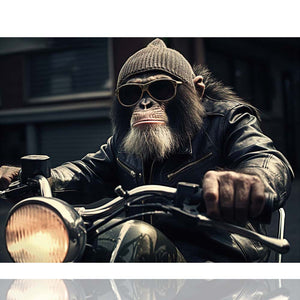 Ein Affe sitzt auf einem Motorrad. Der Biker trägt eine Wollmütze und Sonnenbrille. Das Ganze ist ein Kunstruck auf Acrylglas.