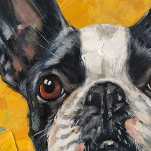 Der Fluffy Frenchie ist mit Acrylfarbe auf Leinwand gemalt. Die schwarz weiße Französische Bulldogge ist ein Familienhund und sieht auf dem Gemälde niedlich aus.