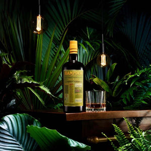 Auf der Flasche Rum steht Hampden Estate Aged 8 Years. Die Flasche Rum steht auf einem Tisch umgeben von großen grünen Pflanzen die an die Natur Jamaikas erinnern.