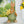 Laden Sie das Bild in den Galerie-Viewer, Ein Hasenmann mit Blumenstrauß und grüner Latzhose steht auf einem Tisch
