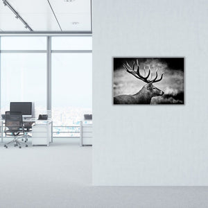 Elegantes Kunst-Wandbild in einem modernen Chefbüro mit Fensterfront. Schwarz-weiße Hirsch-Fotografie als stilvolle Wanddekoration für Büros, Praxen und gewerbliche Räume. Geschenkidee wenn der Chef Jäger ist.