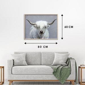 Über einem grauen Sofa hängt eine Gemälde an der weißem Wand. das Gemälde hat die Maße 60 x 80 cm und zeigt ein weißes schottisches Hochlandrind.