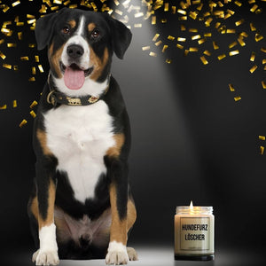 Ein Berner Sennenhund sitzt neben der Dufterze Hundefurz-Löscher und es rieselt goldenes Konfetti.