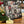 Mini-Adventskalender “Männersache” Niederegger Marzipan, Lübeck