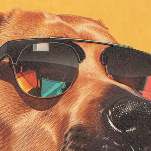 Ein Hund trägt eine dunkle Sonnebrille.