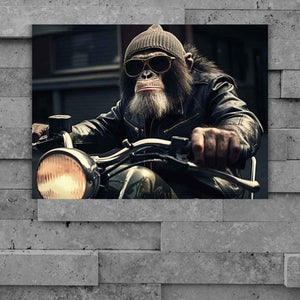 Auf einem alten Motorrad sotzt ein Affe mit Wollmütze und einer Sonnenbrille. Kunstdruck und Geschenkidee für Biker.