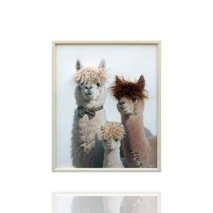 Auf einem Bild sind drei Lamas zu sehen. Die Lamas haben auf dem Kopf Kunstfell. Das Gemälde hat einen hellen Rahmen.