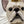 Laden Sie das Bild in den Galerie-Viewer, Weiße französische Bulldogge mit Krone und Halskrause, KARE

