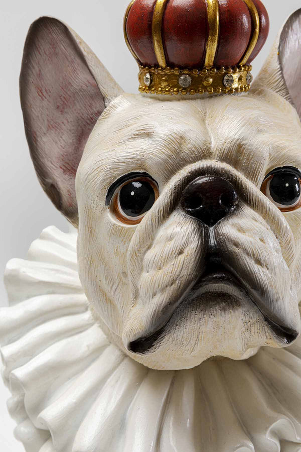 Weiße französische Bulldogge mit Krone und Halskrause, KARE