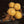 Goldgelber Mushroom Popcorn liegt neben Zimt auf einem schwarzen Tisch. Das Popcorn ist von der Marke Pottkorn.