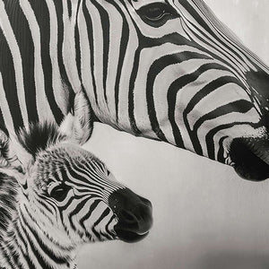 Nahaufnahme eines Gemäldes mit zwei Zebras.