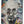 Laden Sie das Bild in den Galerie-Viewer, Das bunte Acrylbild zeigt einen bekannten Professor. Das Acrylbild im Graffitistyle steht auf einer Staffelei. 
