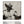Laden Sie das Bild in den Galerie-Viewer, New Yorker Hunde-Mafioso, Acrylgemälde schwarz/weiß 82,5 x  82,5 cm,  Imageland
