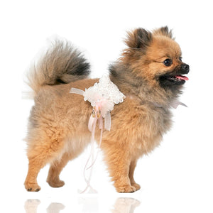 Das Ringkissen für Hunde ist auf Hochzeiten sehr beliebt. Lassen Sie die Gäste staunen wenn ihr Hund ihnen die Trauringe bringt.
